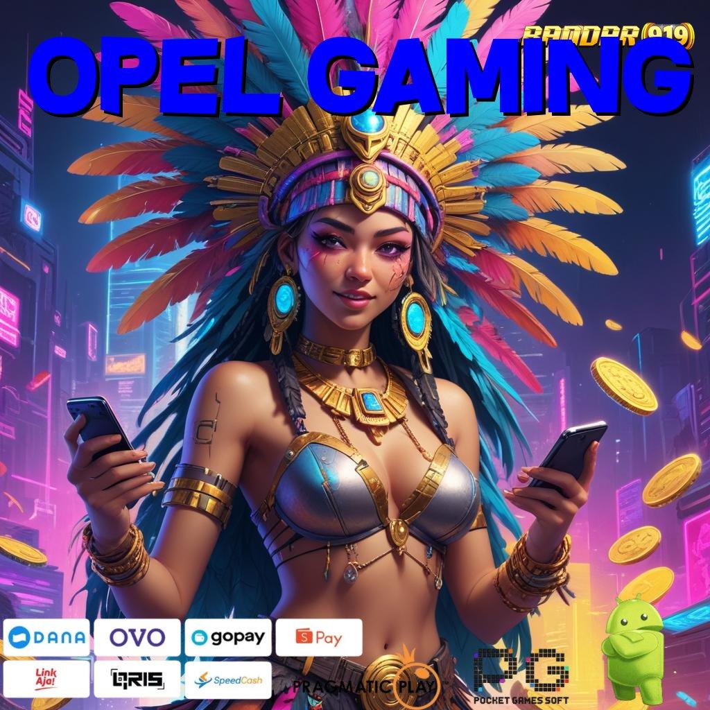 OPEL GAMING > sarana penyedia layanan tempat interaksi bidang mekanisme kerja